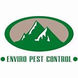 Images of Pest Control Sevierville Tn