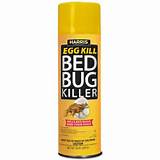 Best Bed Bug Spray Home Depot