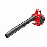 Pictures of Best Cheap Gas Leaf Blower