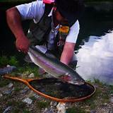 Japanese Trout Fishing Images