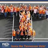 Photos of Tis Insurance Services Knoxville