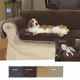 Pictures of Furniture Beds For Dogs