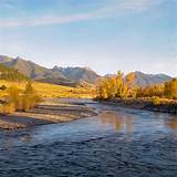 Pictures of Fly Fishing Montana