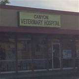 Photos of Canyon Veterinary Hospital Castro Valley