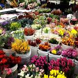 Images of Los Angeles Flower Market