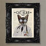 The Cat Doctor Columbus Pictures