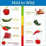 Images of Chili Pepper Heat Index