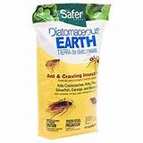 Pictures of Bug Control Diatomaceous Earth