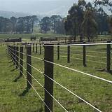Electric Rope Horse Fence Images