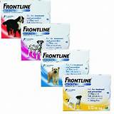 Cheap Flea Treatment For Dogs Free Delivery Pictures