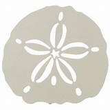 Pictures of Metal Sand Dollar Wall Art