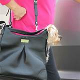 Dog Carry Handbag Images
