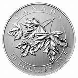 Top Rated Silver Coin Dealers Photos