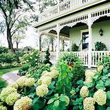 Pictures of Front Yard Landscaping Hydrangeas