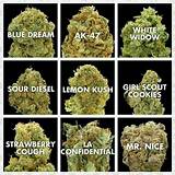 Images of Can You Buy Medical Marijuana Online