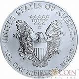 Pictures of Silver Eagle Coin Size