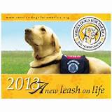 Images of Do Service Dogs Need To Be On A Leash