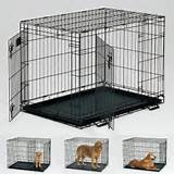 Photos of Crate Training A Puppy