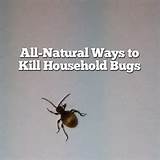 All Natural Ways To Get Rid Of Bed Bugs Pictures