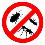 Insect Pest Control Company Images