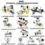 Basic Workout Exercises Pictures