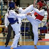 Taekwondo Knockouts Pictures