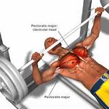 Pectoral Muscle Exercise