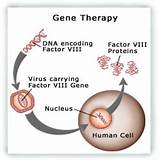 In Gene Therapy Photos