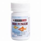 Pictures of Fish Fungus Medication