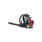 Gas Powered Backpack Leaf Blower Reviews