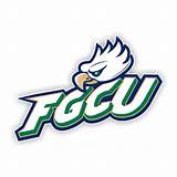Pictures of Florida Gulf Coast University Online