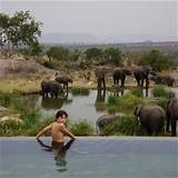 Lodges Serengeti National Park Images
