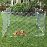 Chain Link Fence Dog Kennels For Sale
