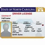 Do You Need Driver License To Get Car Insurance Images