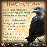 Photos of The Raven Quotes And Meanings