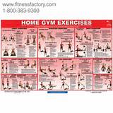 Gym Workout Exercises Chart Pictures