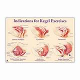 Images of Good Pelvic Floor Exercises