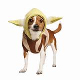 Dog Clothes Yoda Images