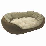 Images of Kong Dog Beds For Sale