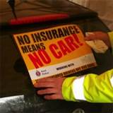 Cheap Liability Insurance No License Pictures