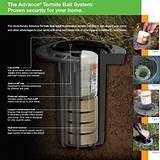 Best Termite Bait Stations Photos