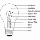 Electric Light Bulbs Types Pictures