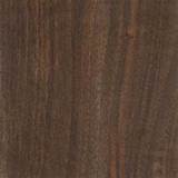 About Walnut Wood Photos