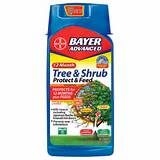 Bayer Advanced Tree And Shrub Insect Control Photos