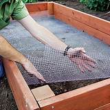 Pictures of Best Soil For Raised Flower Beds