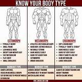 Workout Routine Ectomorph Pictures