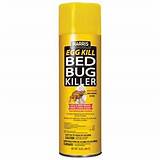 Kill Bed Bugs Spray Pictures