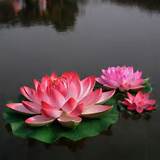 Pictures of Artificial Lotus Flowers Online