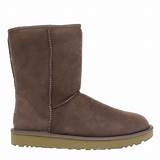 Images of Cheap Ladies Ugg Boots