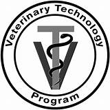 Degree Program For Veterinarian Images